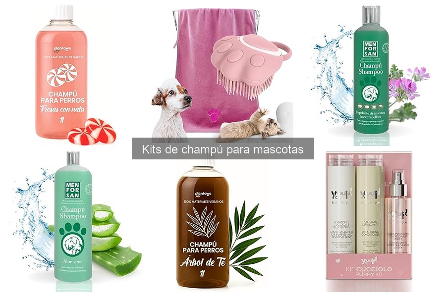 Cómo elegir el mejor kit de champú para tu mascota