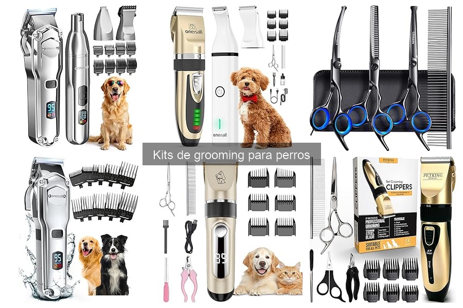 Cómo elegir el mejor kit de grooming para perros según tu presupuesto