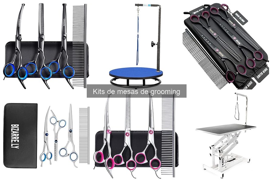 Cómo Elegir el Mejor Kit de Mesa de Grooming para Mascotas