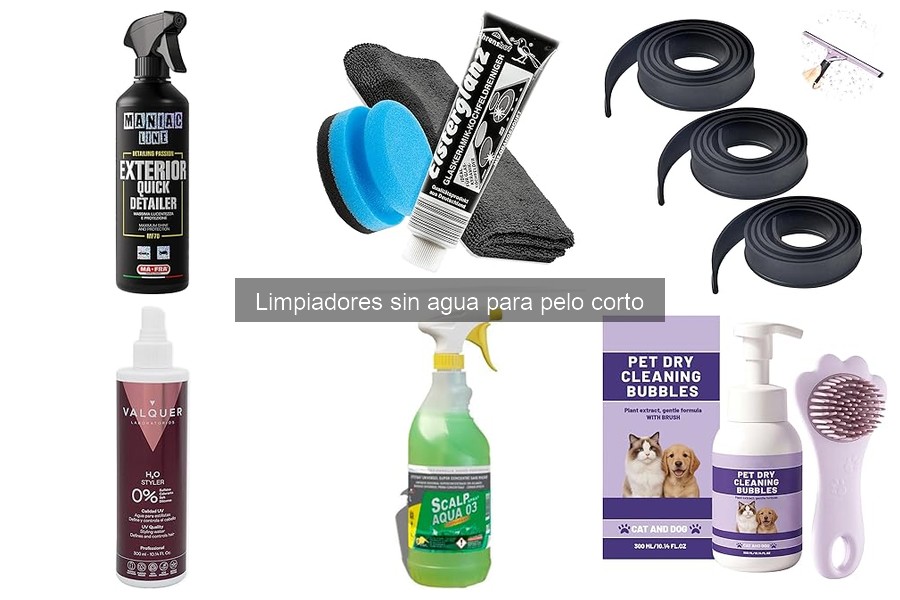 Cómo elegir el mejor limpiador sin agua para tu mascota