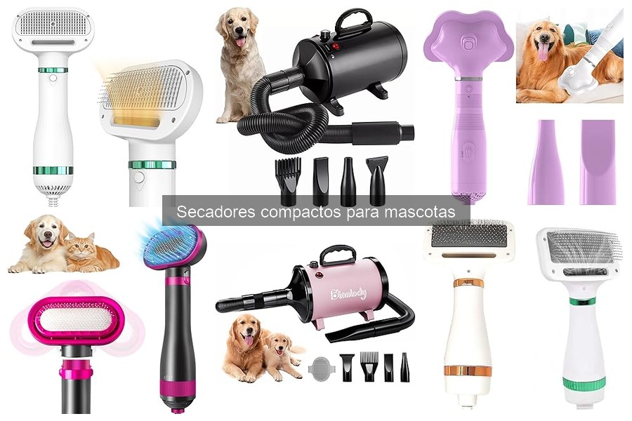 Cómo elegir el mejor secador compacto para mascotas