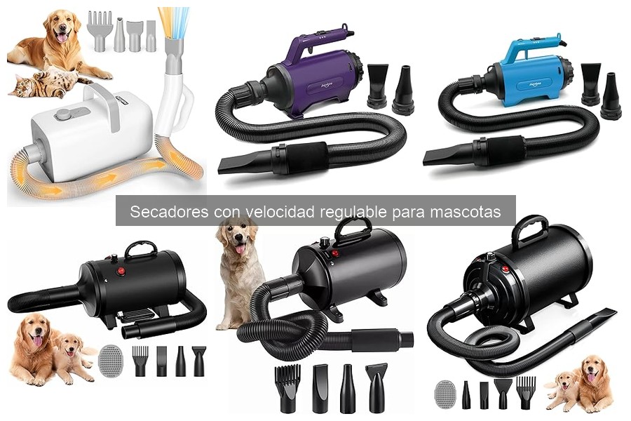 Cómo elegir el mejor secador de mascotas con velocidad regulable