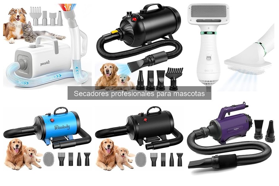 Cómo elegir el secador profesional para tu mascota