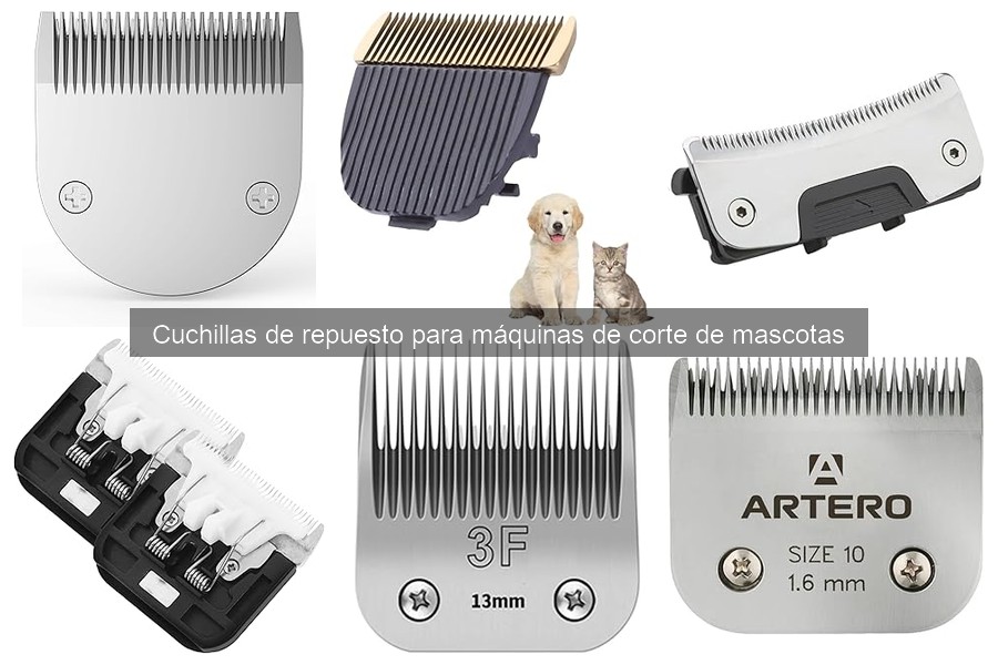 Cómo elegir la cuchilla de repuesto para tu máquina de corte
