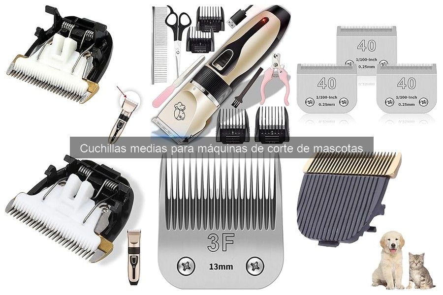 Cómo elegir la cuchilla media adecuada para máquinas de corte