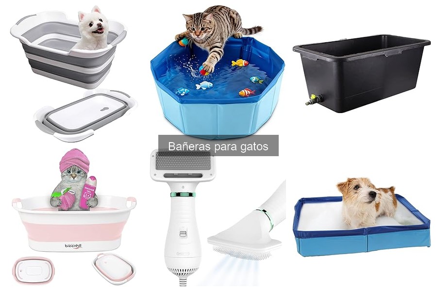 Cómo elegir la mejor bañera para gatos: guía completa