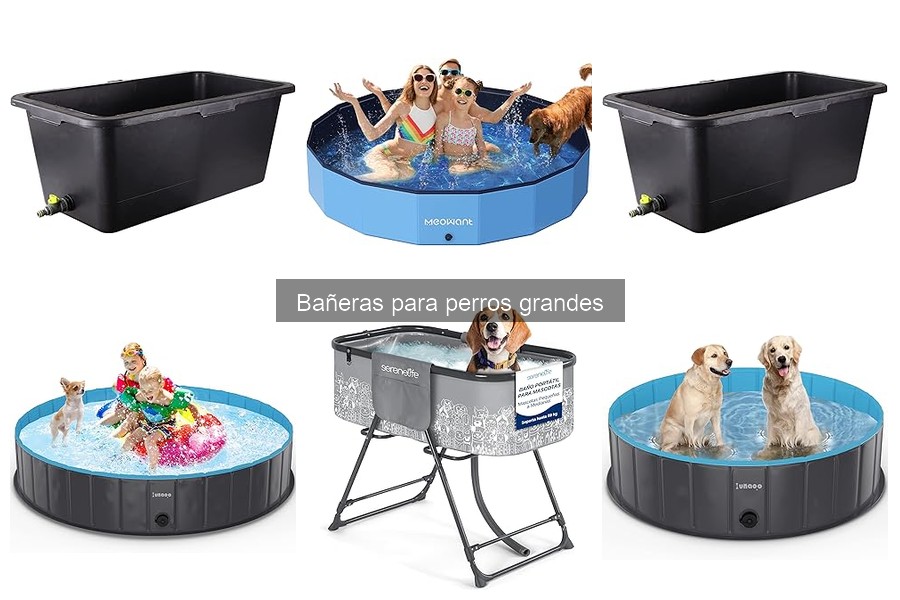 Cómo elegir la mejor bañera para perros grandes