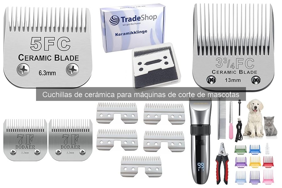 Cómo elegir la mejor cuchilla de cerámica para tu máquina de corte