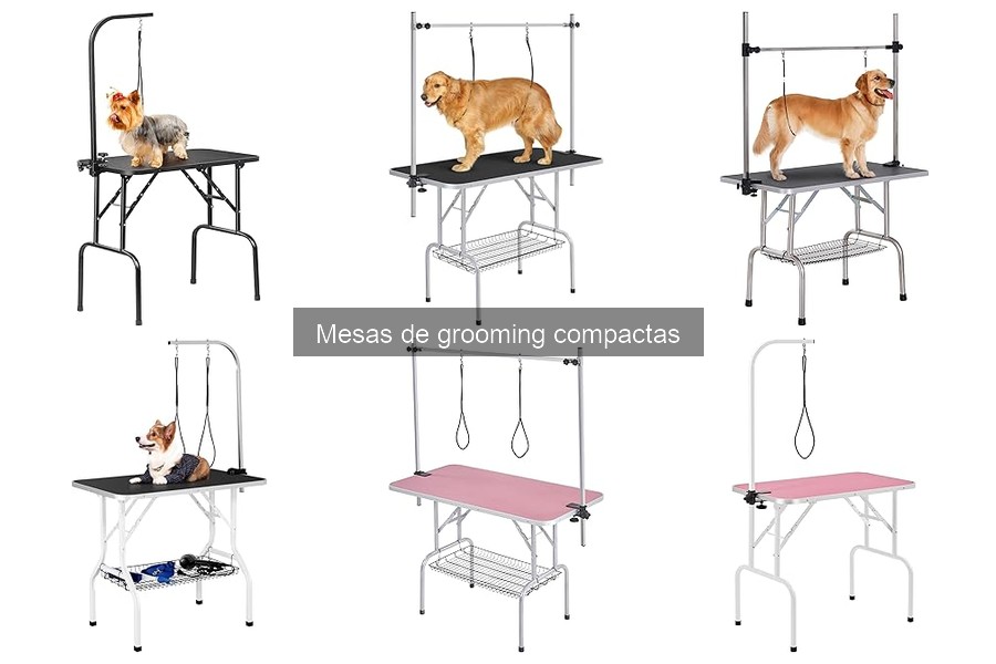 Cómo elegir la mejor mesa de grooming compacta para mascotas
