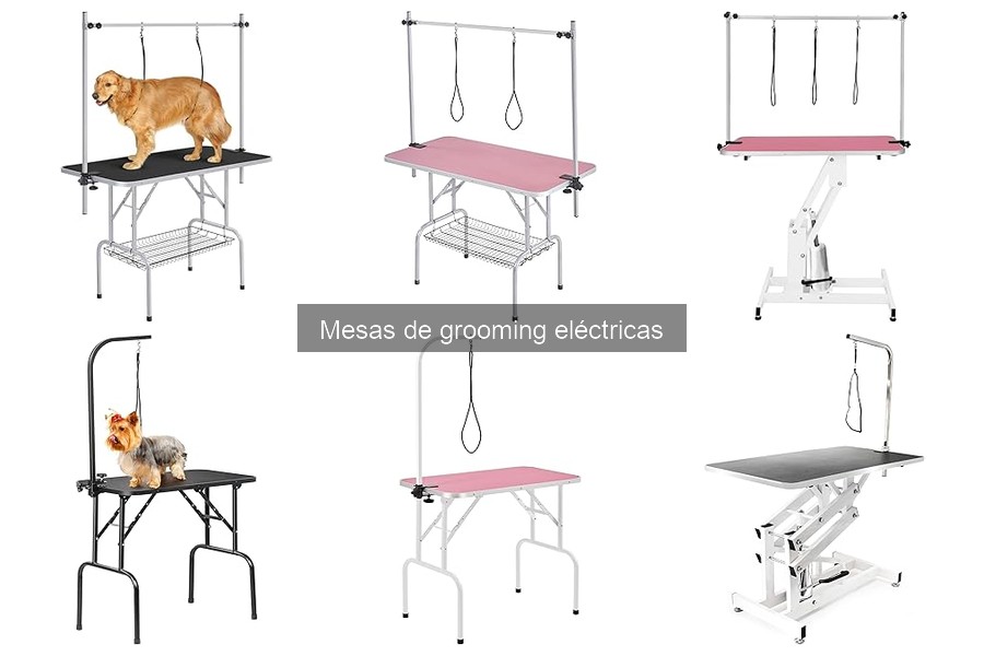 Cómo elegir la mejor mesa de grooming eléctrica para mascotas