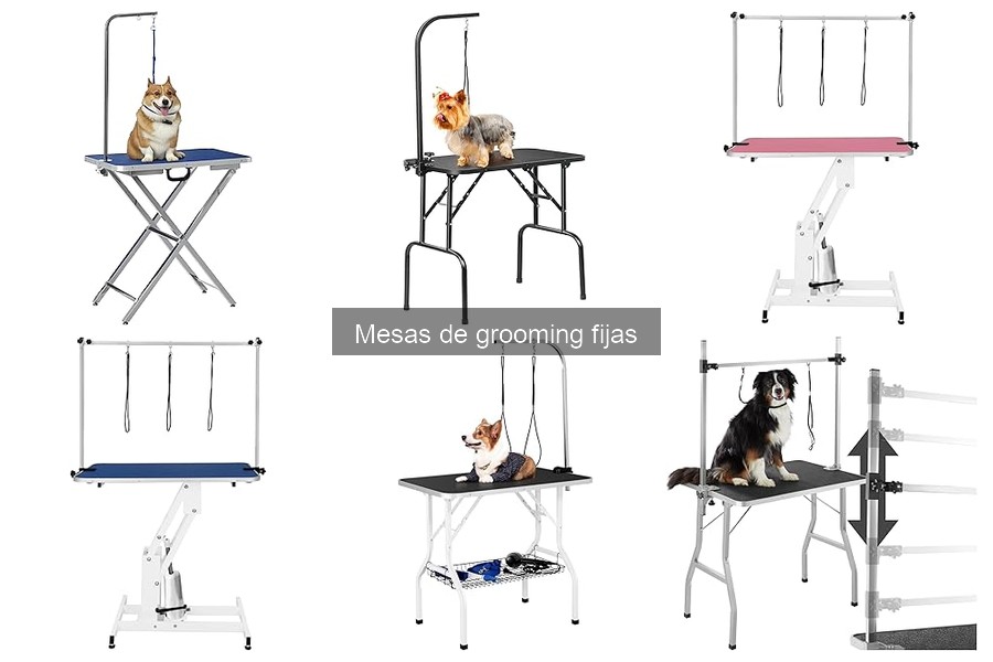 Cómo Elegir la Mejor Mesa de Grooming Fija