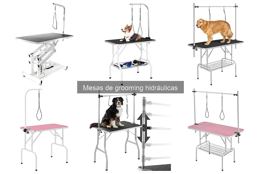 Cómo elegir la mejor mesa de grooming hidráulica para tu mascota