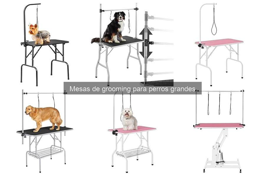 ** Cómo elegir la mejor mesa de grooming para perros grandes