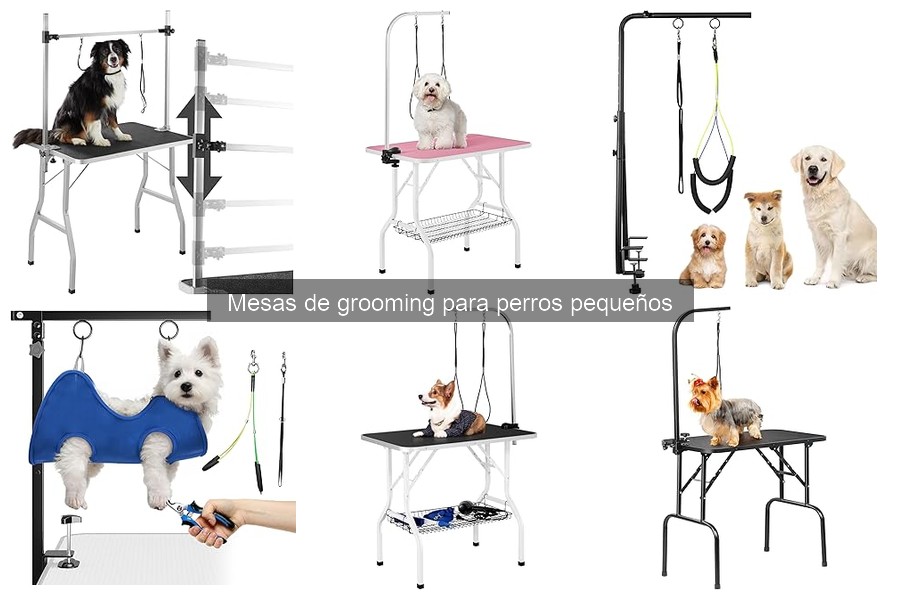 Cómo elegir la mejor mesa de grooming para perros pequeños
