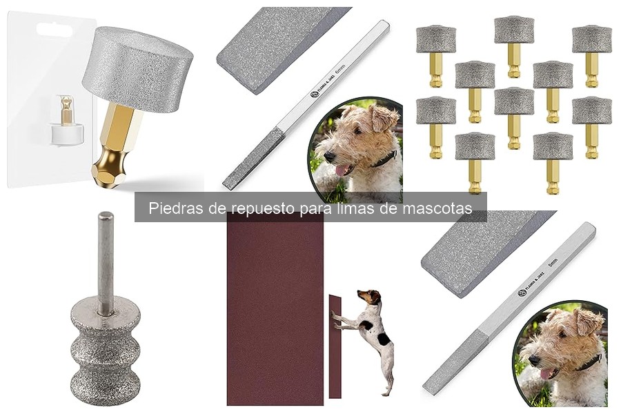 Cómo elegir la mejor piedra de repuesto para limas de mascotas