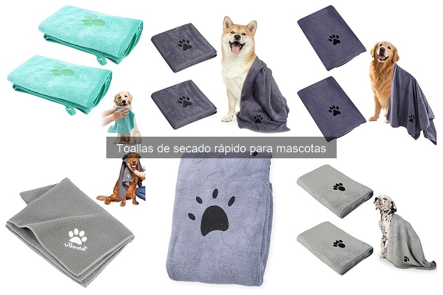 Cómo Elegir la Mejor Toalla de Secado Rápido para Mascotas
