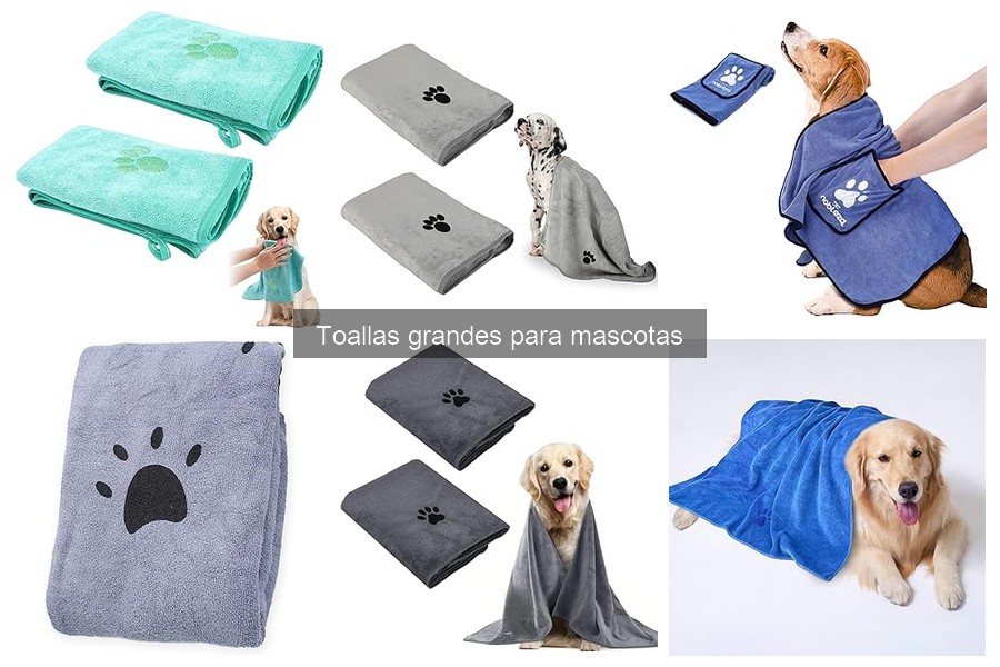 Cómo elegir la mejor toalla grande para tu mascota