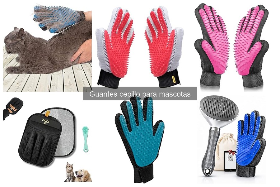 Cómo Elegir los Mejores Guantes Cepillo para Mascotas