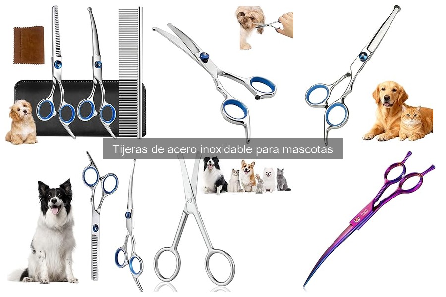 Cómo elegir tijeras de acero inoxidable para mascotas