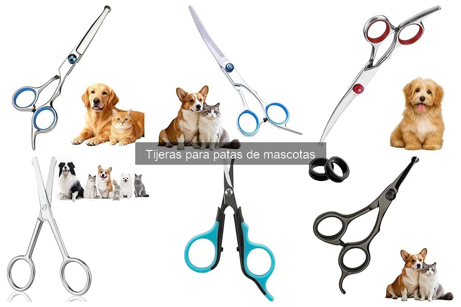 Cómo elegir tijeras para el grooming de mascotas