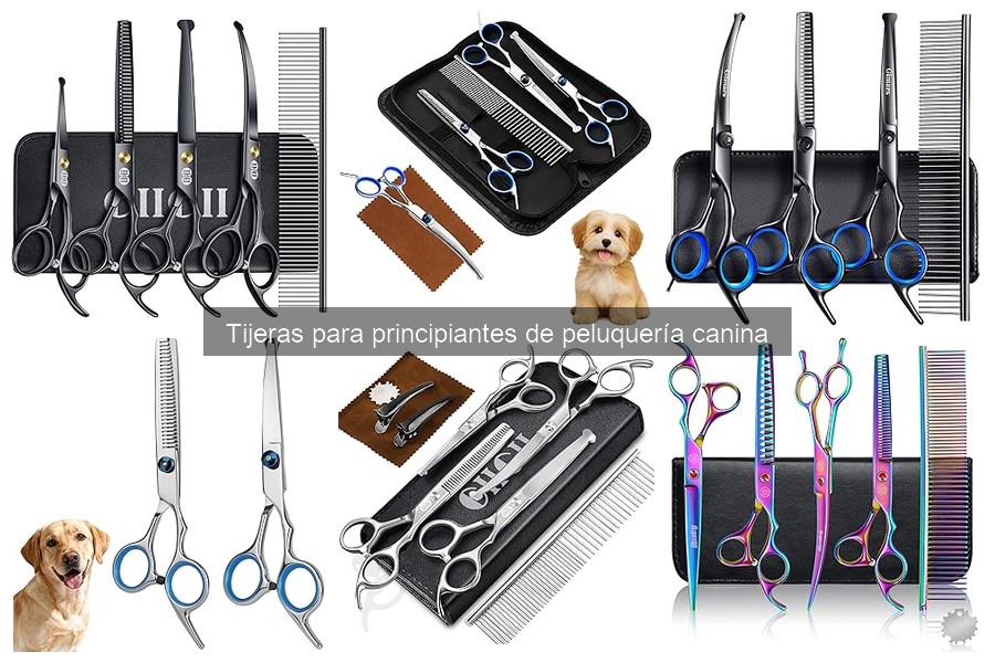 Cómo elegir tijeras para principiantes en peluquería canina
