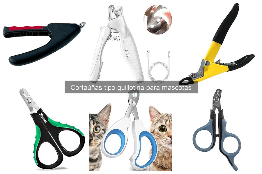 ** Cómo entrenar a tu mascota para cortar sus uñas fácilmente