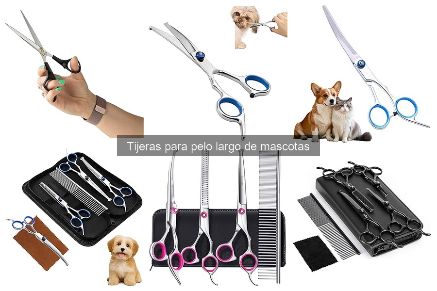 Cómo entrenar a tu mascota para usar tijeras de grooming