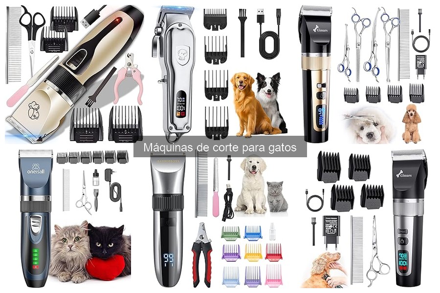 Cómo evitar que tu gato se asuste al usar la máquina de corte