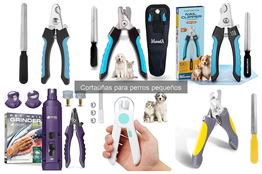 Cómo evitar que tu perro tenga miedo al cortaúñas