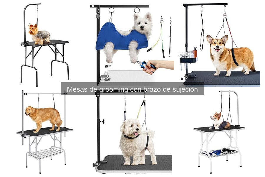 Cómo Instalar una Mesa de Grooming con Brazo de Sujeción