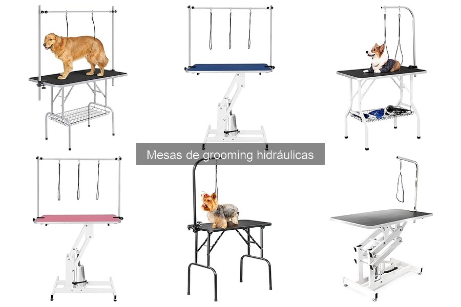 Cómo instalar una mesa de grooming hidráulica fácilmente