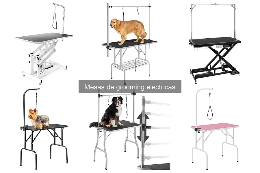 Cómo instalar y usar una mesa de grooming eléctrica