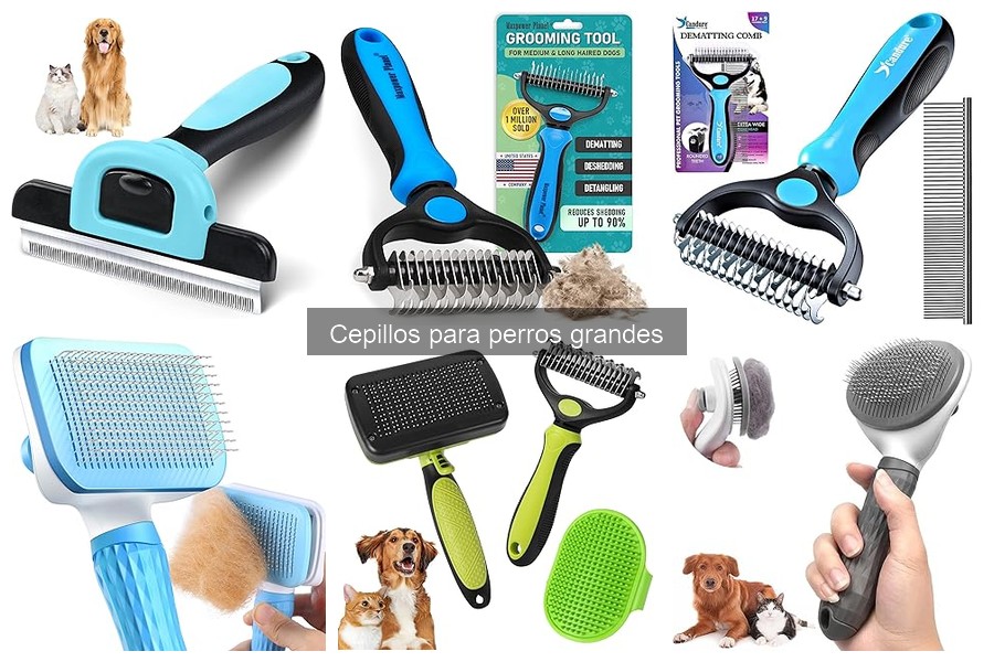** Cómo limpiar cepillos para perros grandes: consejos prácticos