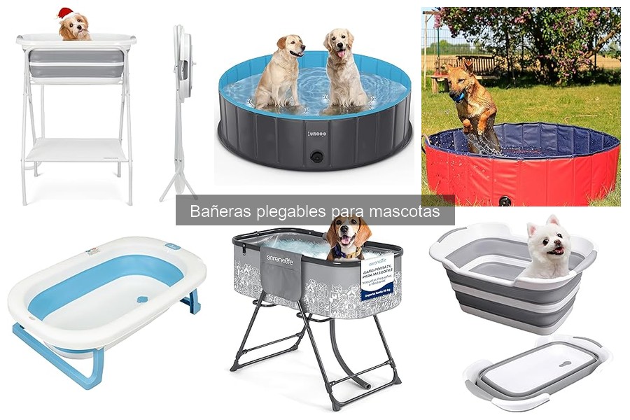 Cómo limpiar y mantener bañeras plegables para mascotas