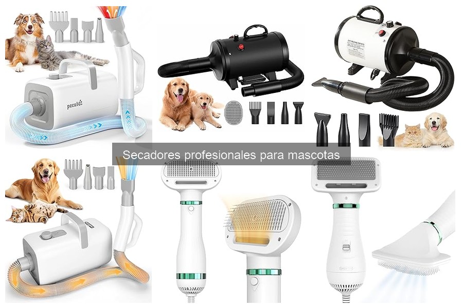 Cómo limpiar y mantener tu secador profesional para mascotas