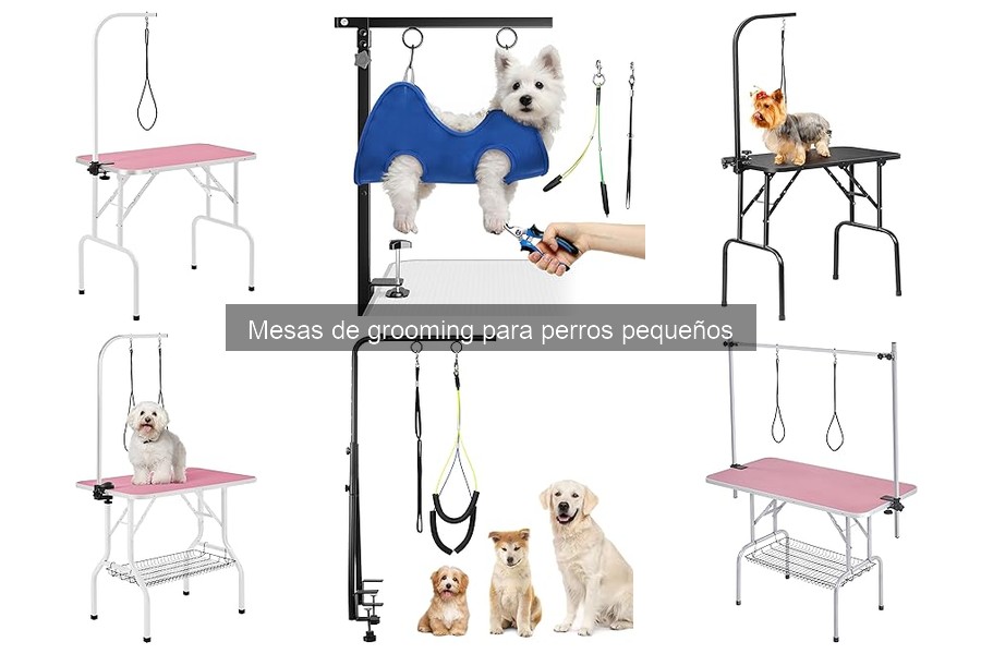 Cómo Limpiar y Mantener una Mesa de Grooming para Perros Pequeños