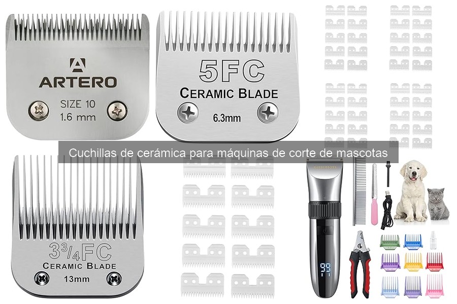Cómo mantener cuchillas de cerámica para máquinas de corte