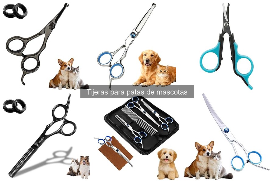 Cómo mantener tijeras para patas de mascotas en perfecto estado