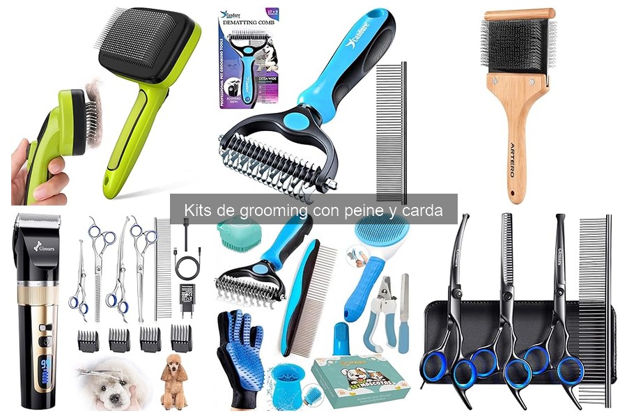 Cómo Mantener Tu Kit de Grooming en Perfecto Estado