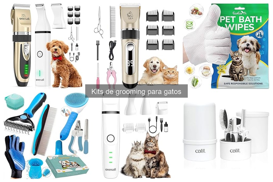 Cómo mantener tu kit de grooming para gatos en perfecto estado