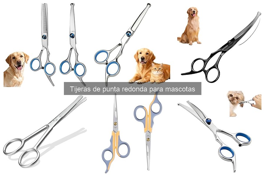 Cómo mantener y afilar tijeras de punta redonda para mascotas