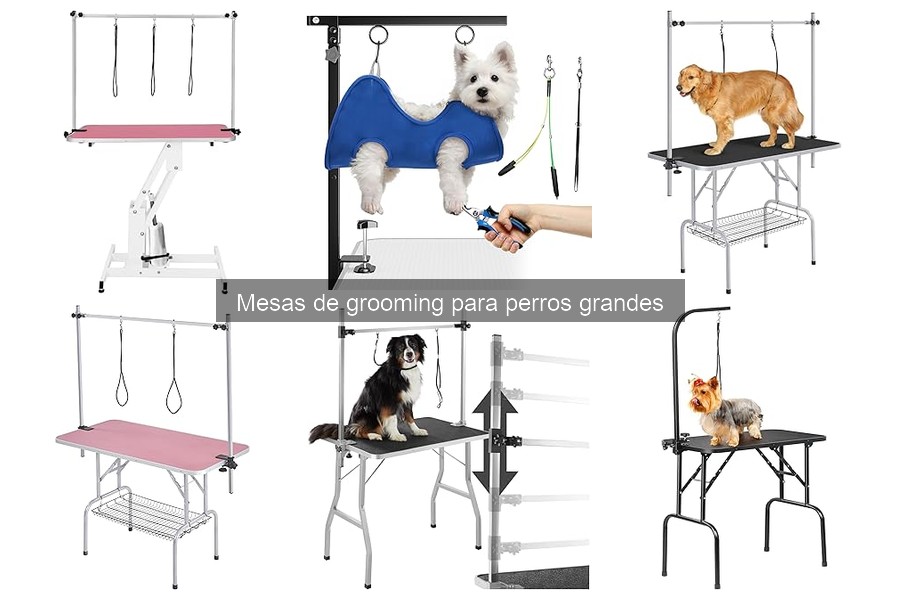 ** Cómo Montar una Mesa de Grooming para Perros Grandes