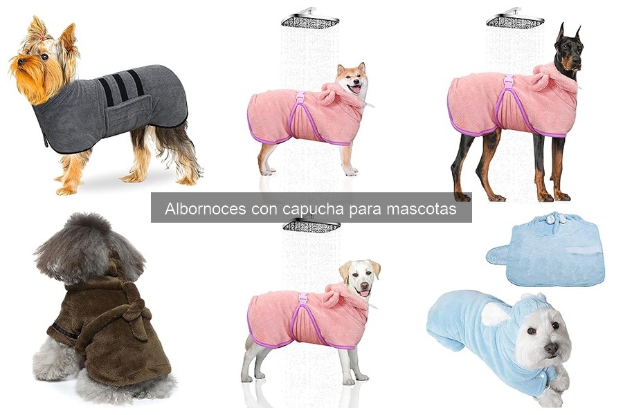 Cómo poner un albornoz con capucha a tu mascota fácilmente