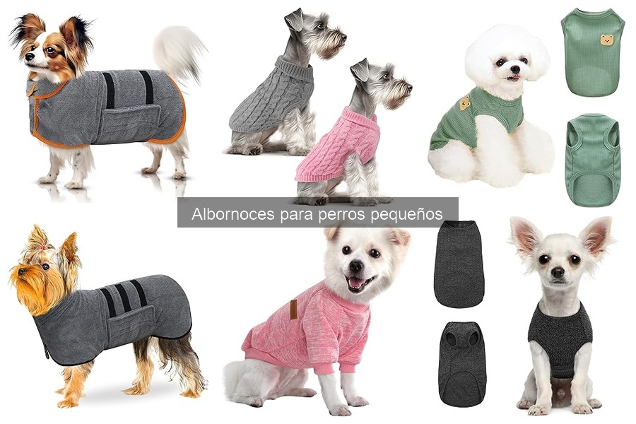 Cómo ponerle el albornoz a un perro pequeño: guía práctica