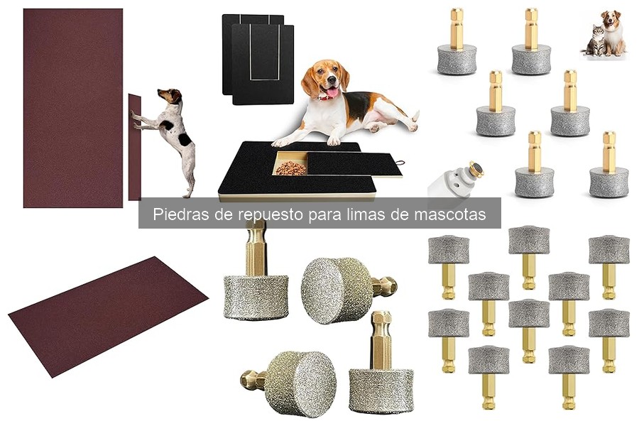 Cómo reemplazar la piedra de la lima de mascotas fácilmente