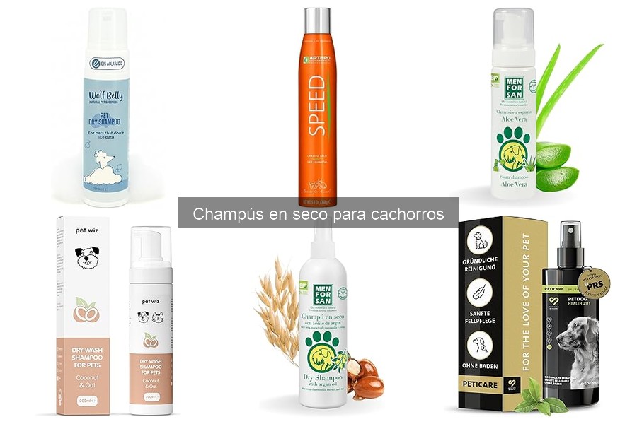 Cómo usar champú en seco para cachorros: Guía práctica