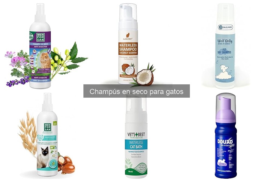 Cómo usar champú en seco para gatos: Guía práctica