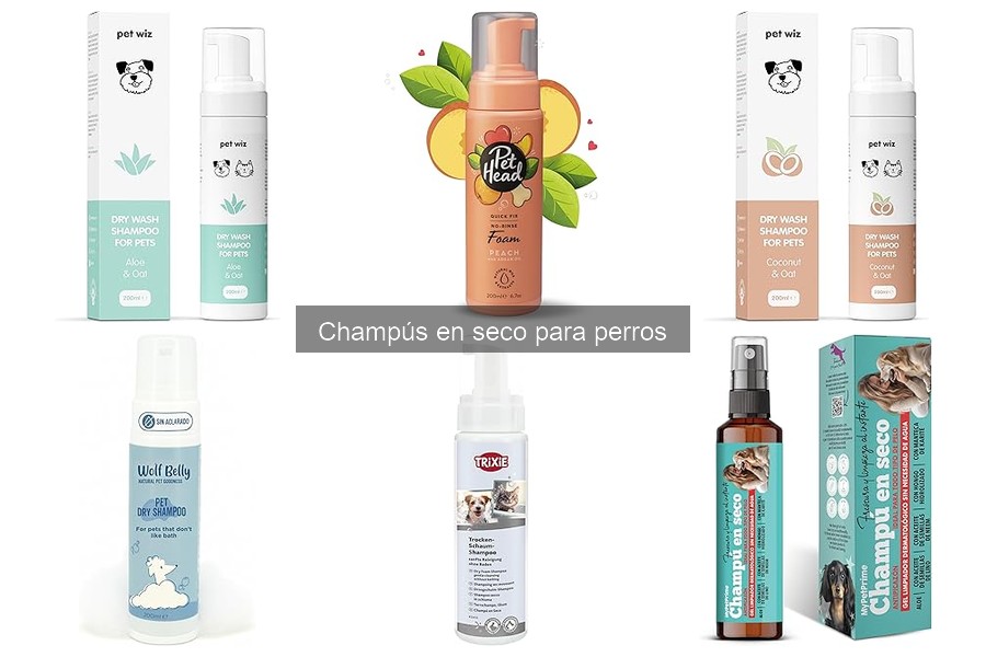Cómo usar champú en seco para perros: Guía práctica