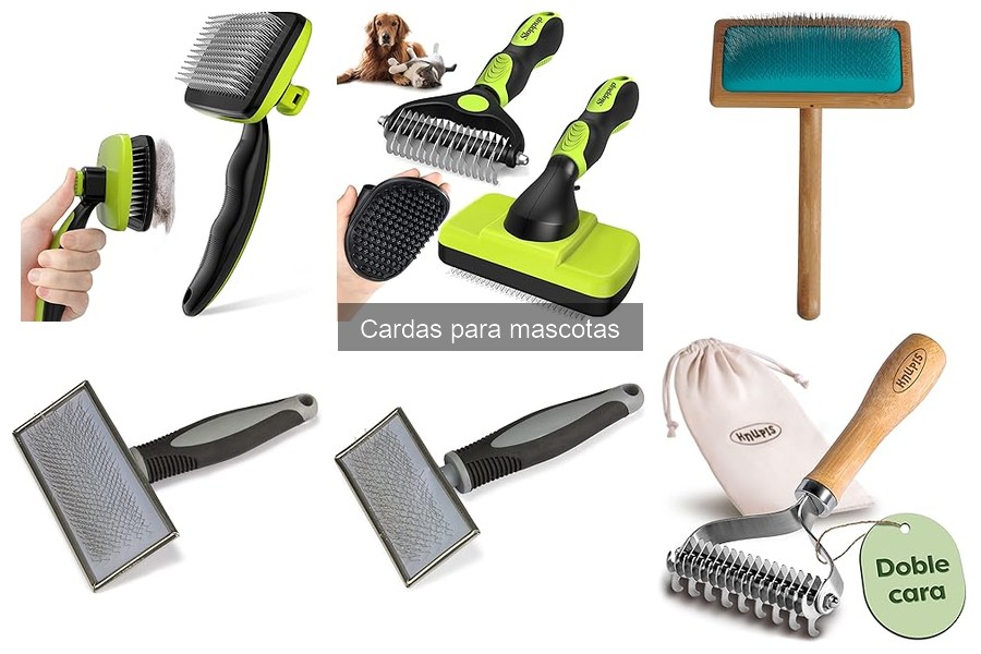 Cómo usar correctamente una carda para mascotas