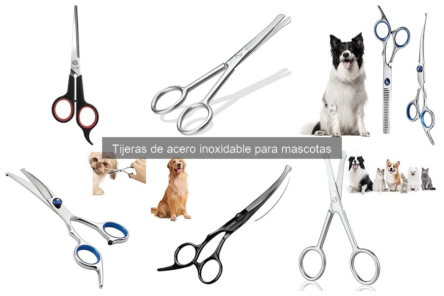 Cómo usar tijeras de acero inoxidable en mascotas correctamente